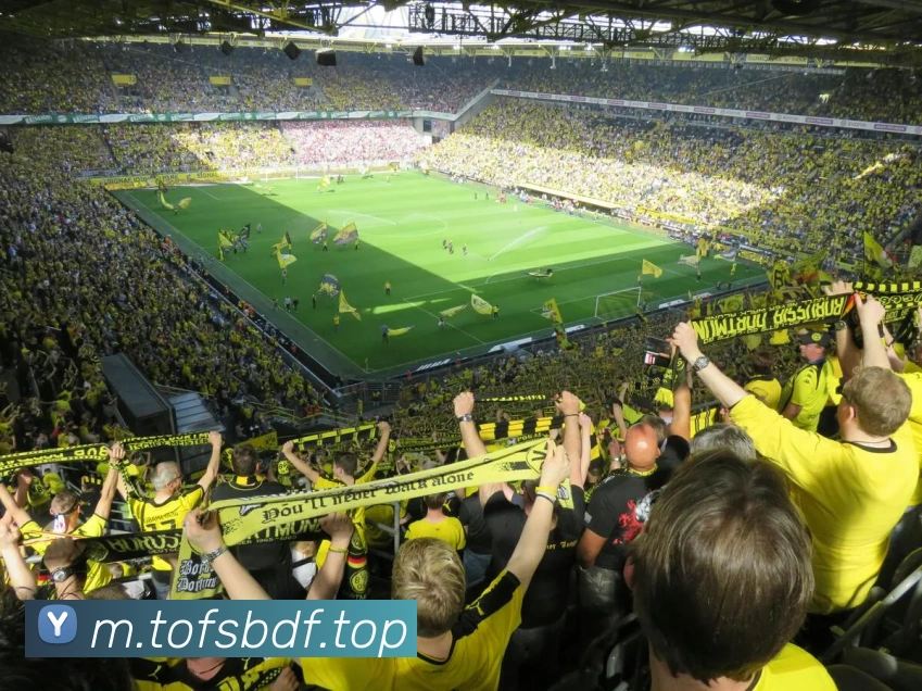 巅峰国际平台生态图